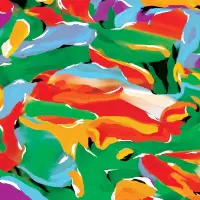 Record cover of BIRDS OF PARADISE  by Auntie Flo