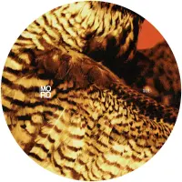 Record cover of HIGHLAND FREQUENCIES EP  by Amorphic & Tensal