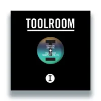 Record cover of TOOLROOM SAMPLER VOL. 16 by Various Artists