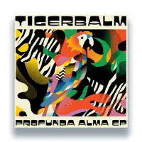 Record cover of PROFUNDA ALMA EP by Tigerbalm