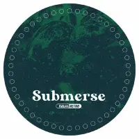 Record cover of FR033  by Submerse