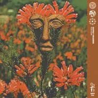 Record cover of FROM EARTH  by Earthly Measures