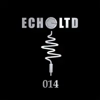 Record cover of ECHO LTD 014 EP (180GR)  by Frenk Dublin