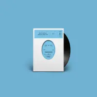 Record cover of WTF - FURTHER ADVENTURES OF TH by Idjut Boys & Minjung Kate Kim