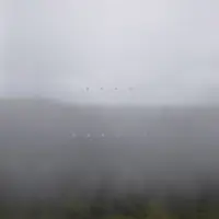 Record cover of DEAD BANDIT  by Dead Bandit