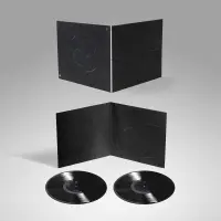 Record cover of SEVERAL STREAMS OF THOUGHT LP  by Steve Bicknell