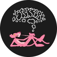 Record cover of RNF-STKR01  by Stekker