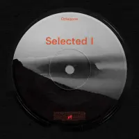 Record cover of SELECTED I  by Ottagone