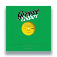 Record cover of DISCO LIGHT EP by Definite Grooves