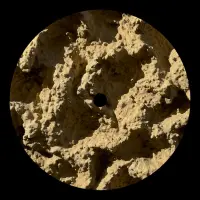 Record cover of PHYLLOPHAGA (180 GRAMS)  by Franco Rossi