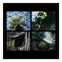 Record cover of THE WEATHER INDOORS  by William Selman