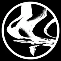 Record cover of VOICES FROM THE VOID EP  by The Chronics