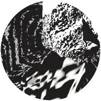 Record cover of 5 YEARS REMIXED PT.1 (PRINTED  by V/A