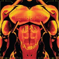 Record cover of HARD BOIS  by Juan Ramos