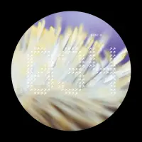 Record cover of NECH034  by Dimi Angelis