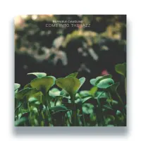 Record cover of COME INTO THE JAZZ by Raffaele Ciavolino 