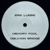 Record cover of REVERSING TIME  by Erik Luebs