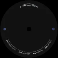 Record cover of STABLE FUSION (180 GRAMS VINYL by IGLO & Paul Hauck