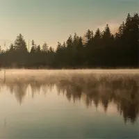 Record cover of DEEP GROUND (PRINTED SLEEVE)  by Purl