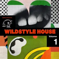 Record cover of WILDSTYLE HOUSE VOL. 1 (2LP)  by Kapote presents