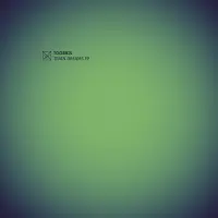 Record cover of TRAIN DREAMS  by Toobris