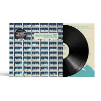 Record cover of ROOT DOWN 30 COMPILED BY RAINE by Various Artists / Rainer Trüb