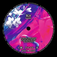Record cover of BLESSING EP  by SLV