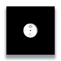 Record cover of PIV LIMITED 11 by Rich Nxt 