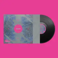 Record cover of ATARAXIA (PRINTED SLEEVE)  by Stef de Haan