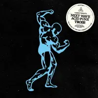Record cover of NEXT WAVE ACID PUNX TROIS - CH by Curses