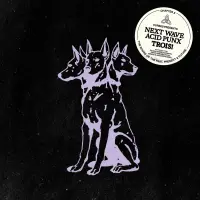 Record cover of NEXT WAVE ACID PUNX TROIS - CH by Curses