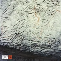 Record cover of ETT INRE RUM  by SPF 50