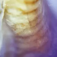 Record cover of TECH043  by Eluna Vex / A.B.E.L.