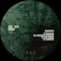Record cover of DETAINED  by Nizre