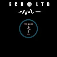 Record cover of ECHO LTD 016 EP (COLORED VINYL by Frenk Dublin