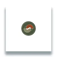 Record cover of MAXI MAXIMAL VOL 2 by SIRS 