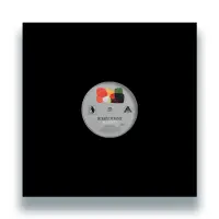Record cover of BODO-ACE VA 006 by Frits Wentink & Malin Genie / 