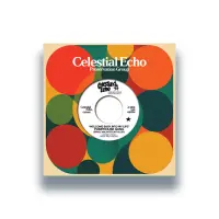 Record cover of WELCOME BACK INTO MY LIFE (W/  by Pumphouse Gang 