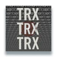 Record cover of TOOLROOM TRAX SAMPLER VOL. 4 by ALL U NEED / Shiba San / Twola