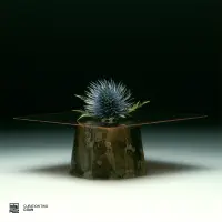 Record cover of CURATION TWO: D.DAN  by Various Artists