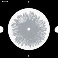 Record cover of GREEN DIRECTIONS  by philip chernikov