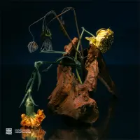 Record cover of CURATION ONE: OSCAR MULERO  by Various Artists