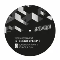 Record cover of STEREO:TYPE EP 8  by Risk Assessment